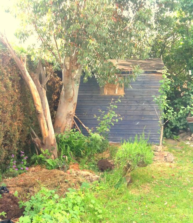 אדינבורו Almond House B&B מראה חיצוני תמונה